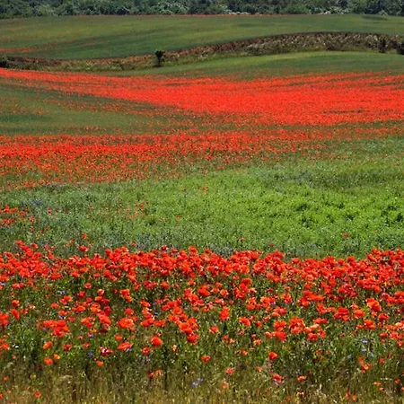 Lägenhet In Der Uckermark Am Oberuckersee Ot Warnitz