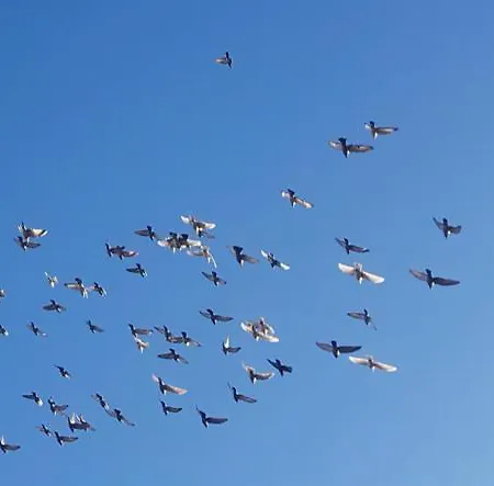 In Der Uckermark Am Oberuckersee Ot Lägenhet