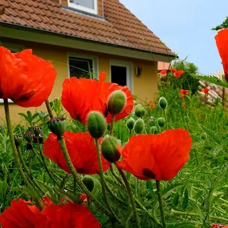 In Der Uckermark Am Oberuckersee Ot *